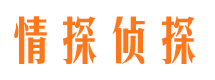 沙坪坝市私家调查